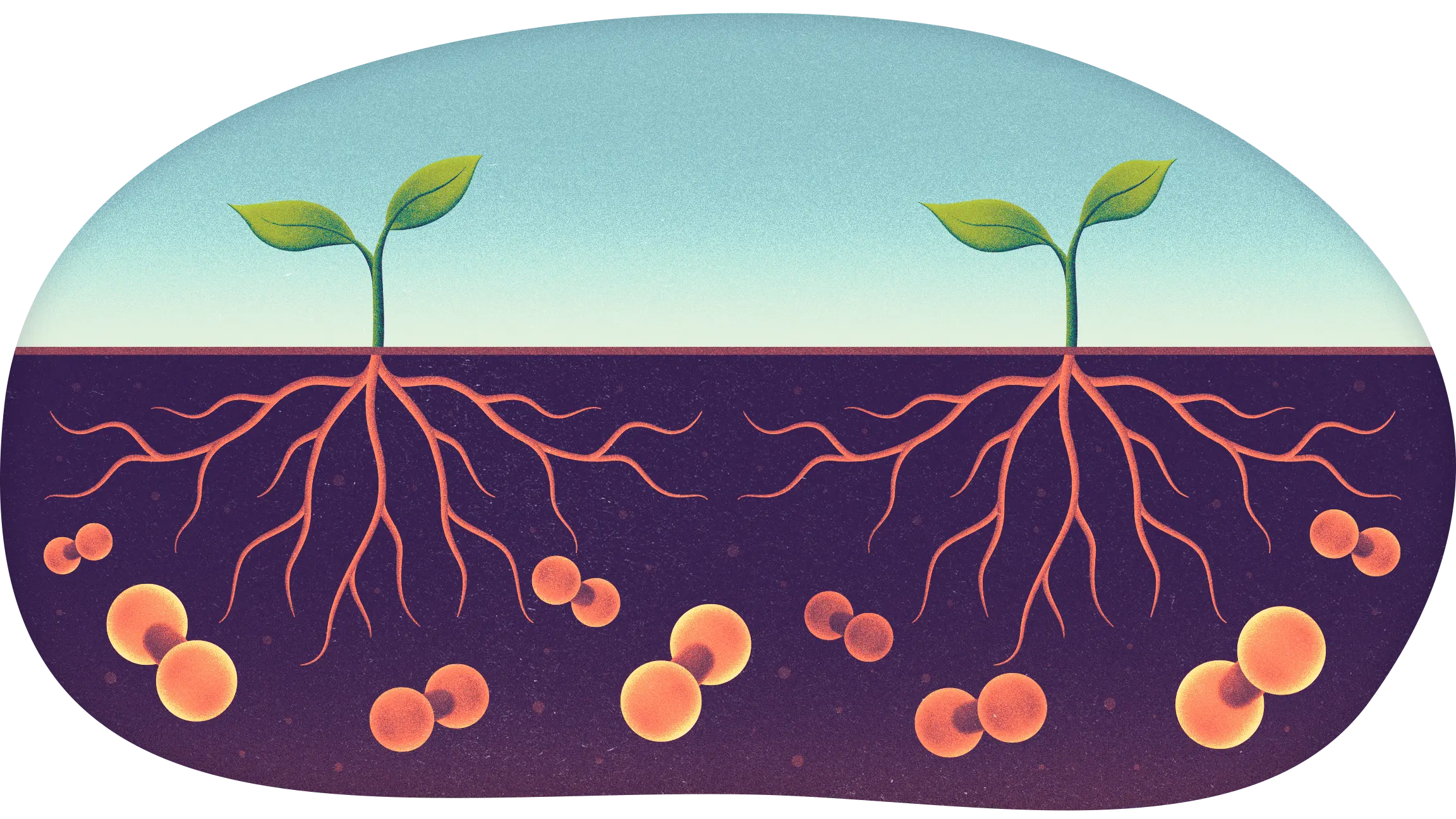 Plants with roots underground