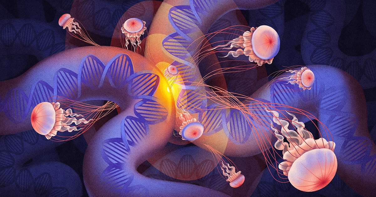 Loops of DNA Equipped Ancient Life To Become Complex