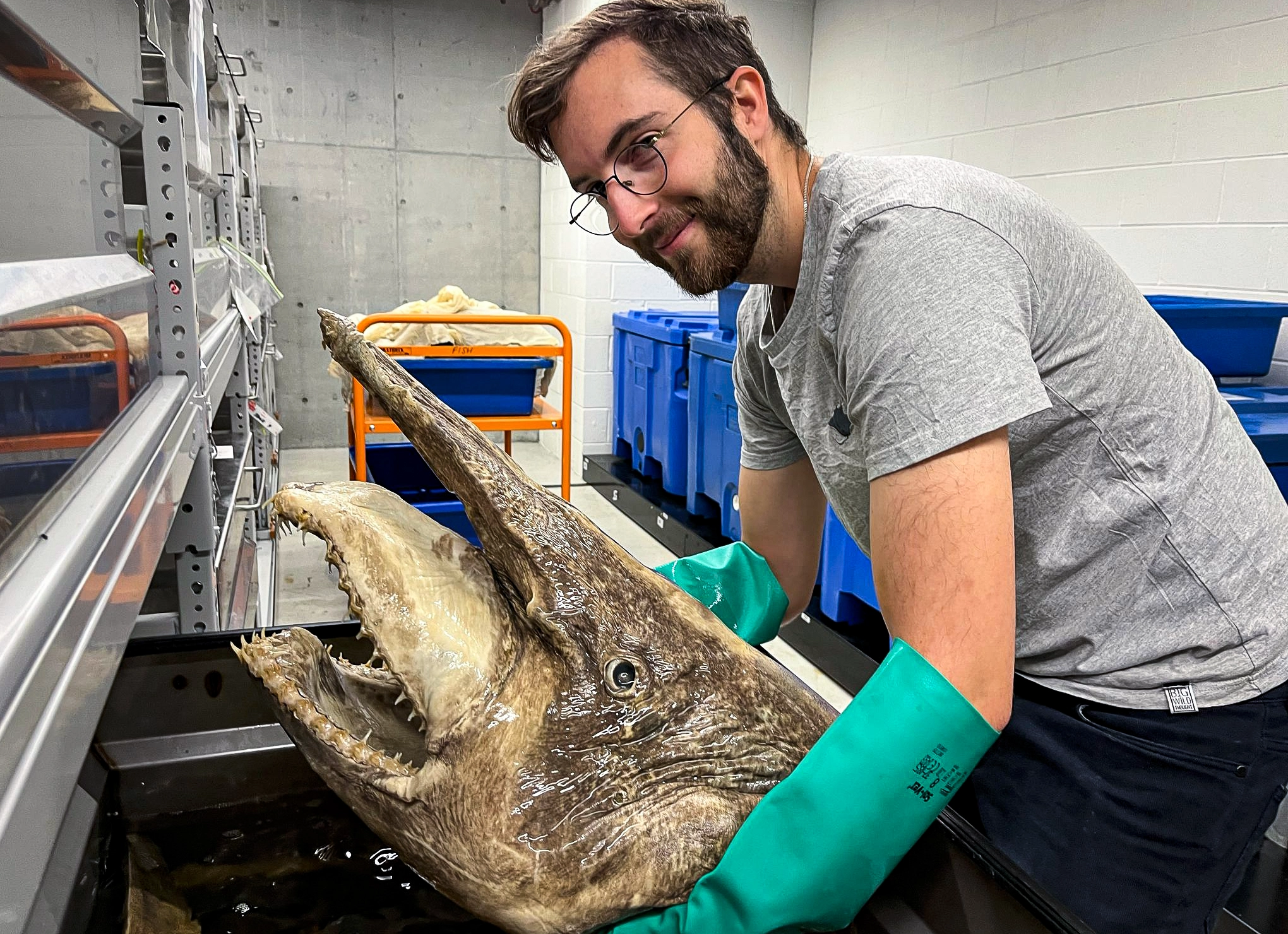 A smiling man with glasses holding a preserved shark head