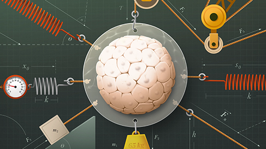 A blastocyst (a new embryo) has springs, weights and pulleys attached to it and is labeled with various physics equations.
