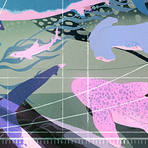 Multiple sharks swimming together, each one a different size