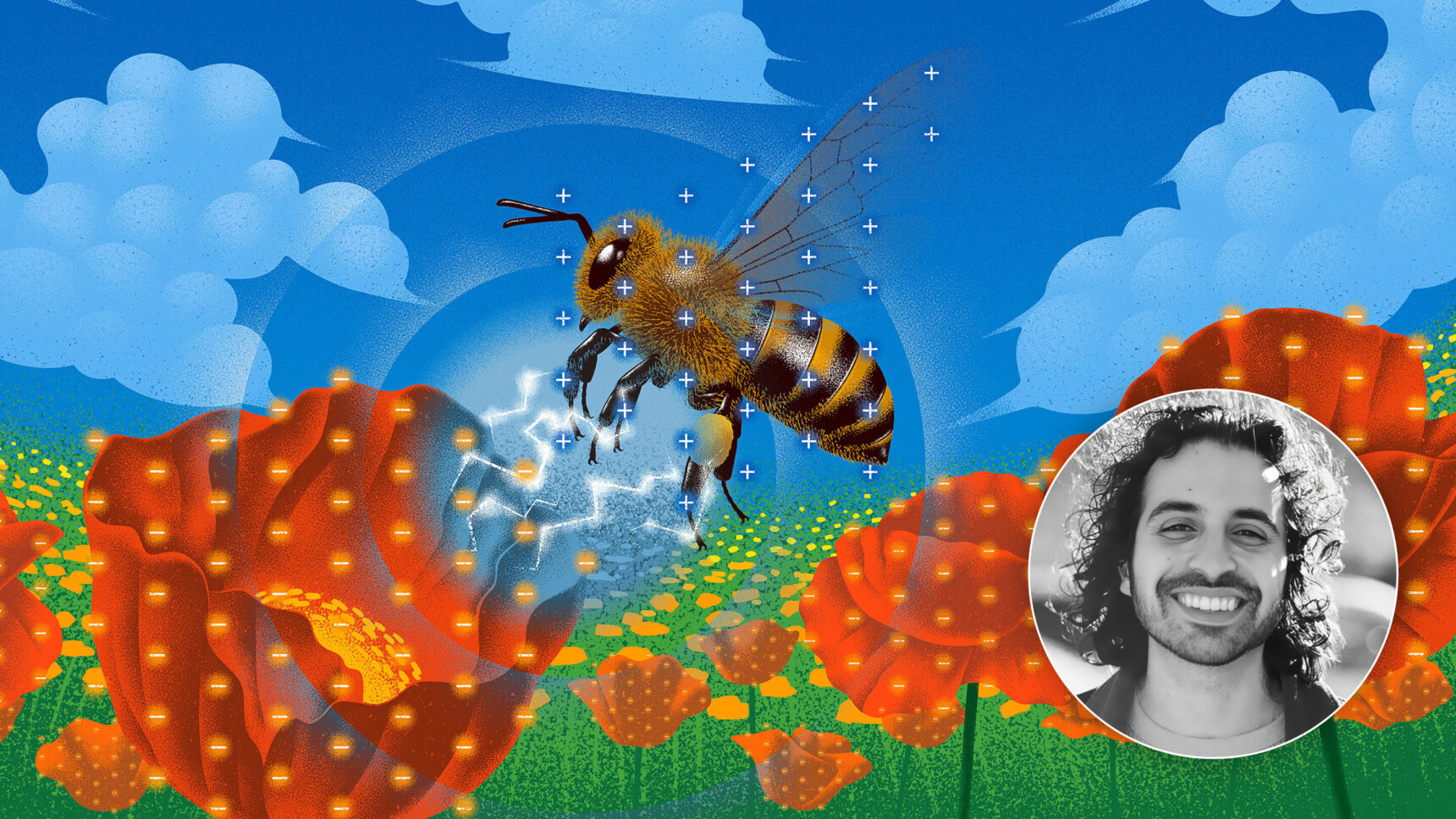 A photo of a bee surrounded by static electricity, paired with a photo of Max G. Levy, a smiling man