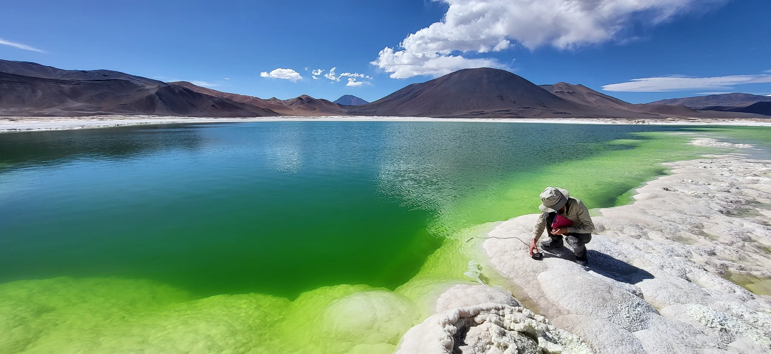 Portrait of Purificación López-García