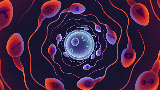 An illustration shows sperm cells circling an egg cell. Each sperm cell is stamped with an icon representing fitness, including a steak, dumbbell and cigarette.
