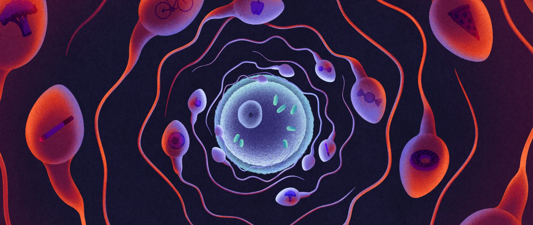 An illustration shows sperm cells circling an egg cell. Each sperm cell is stamped with an icon representing fitness, including a steak, dumbbell and cigarette.