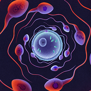An illustration shows sperm cells circling an egg cell. Each sperm cell is stamped with an icon representing fitness, including a steak, dumbbell and cigarette.