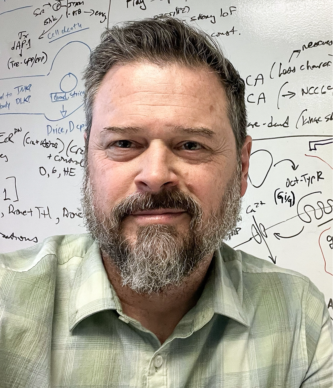 Marc Freeman portrait