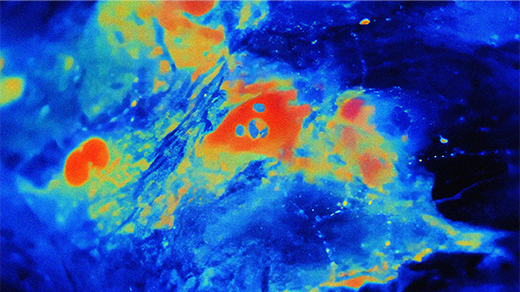 Bright spots of red (calcium) travel in waves across a blue substrate (brain cells).