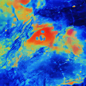Bright spots of red (calcium) travel in waves across a blue substrate (brain cells).