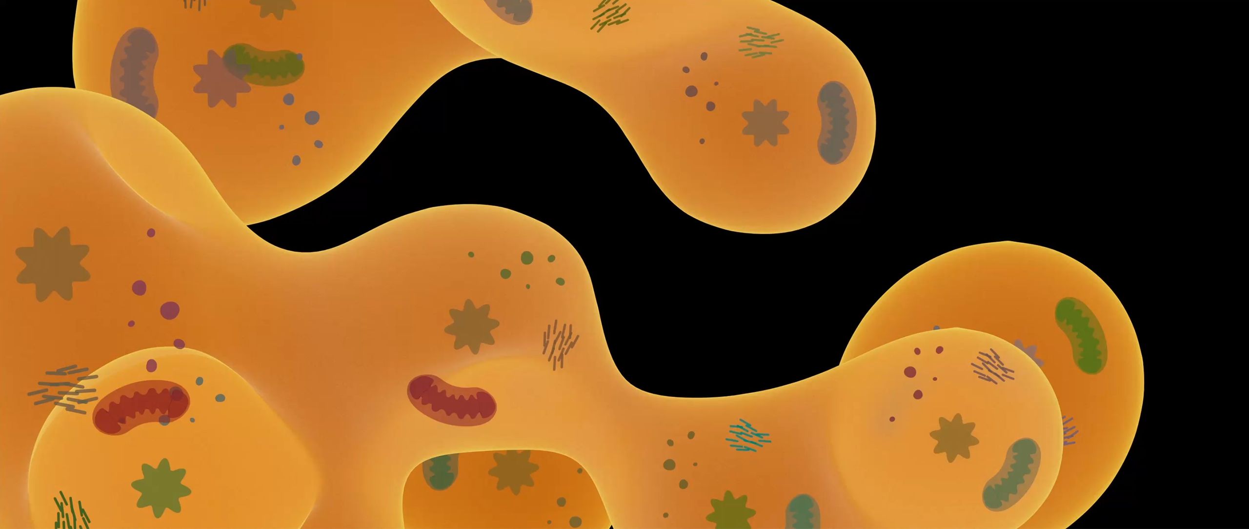 A render of a cytoplasm filled with organelles