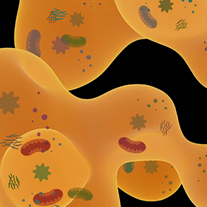 A render of a cytoplasm filled with organelles