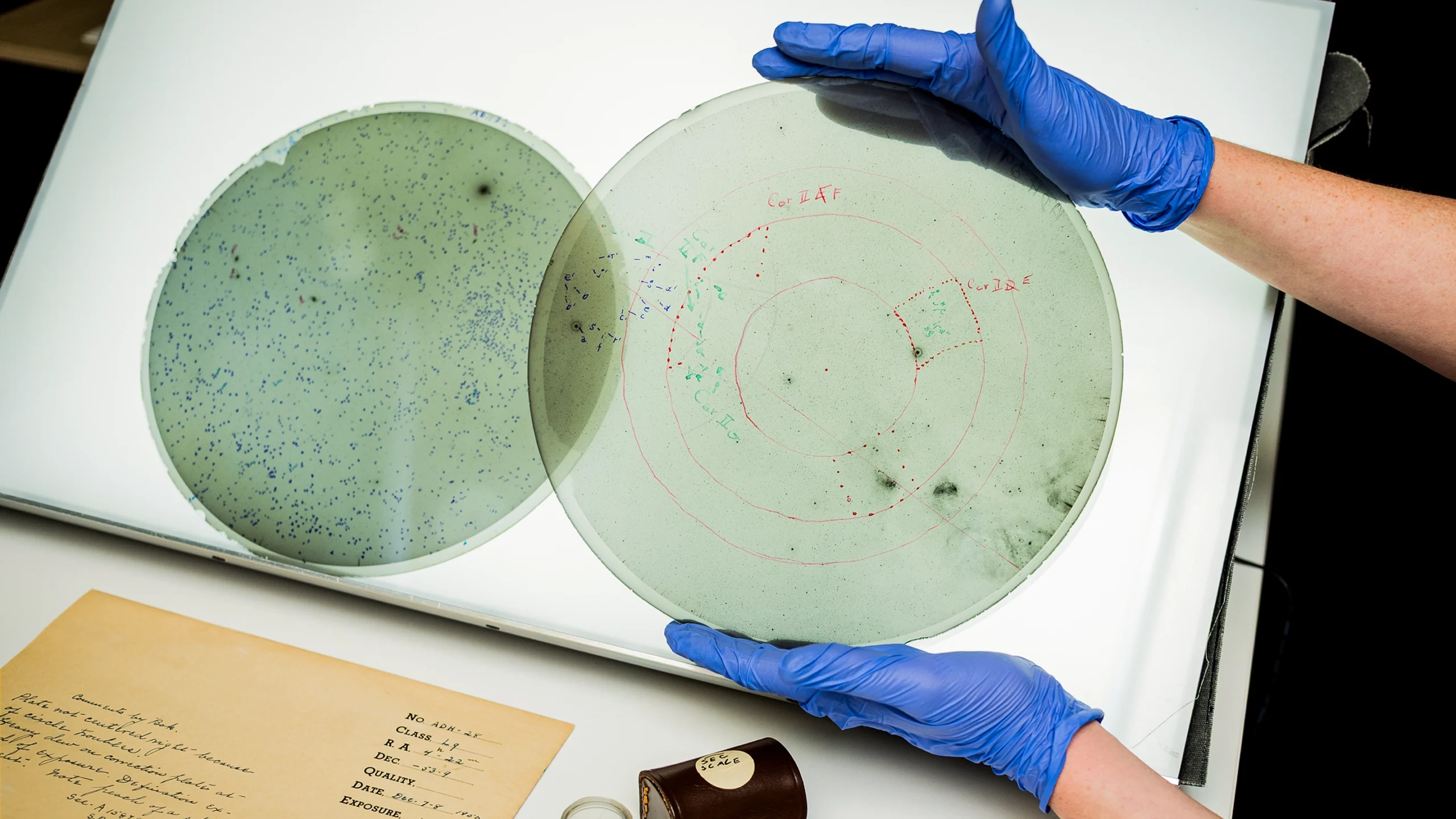 Gloved hands hold a round glass photographic plate with marker annotations, while another sits on a lightbox behind.