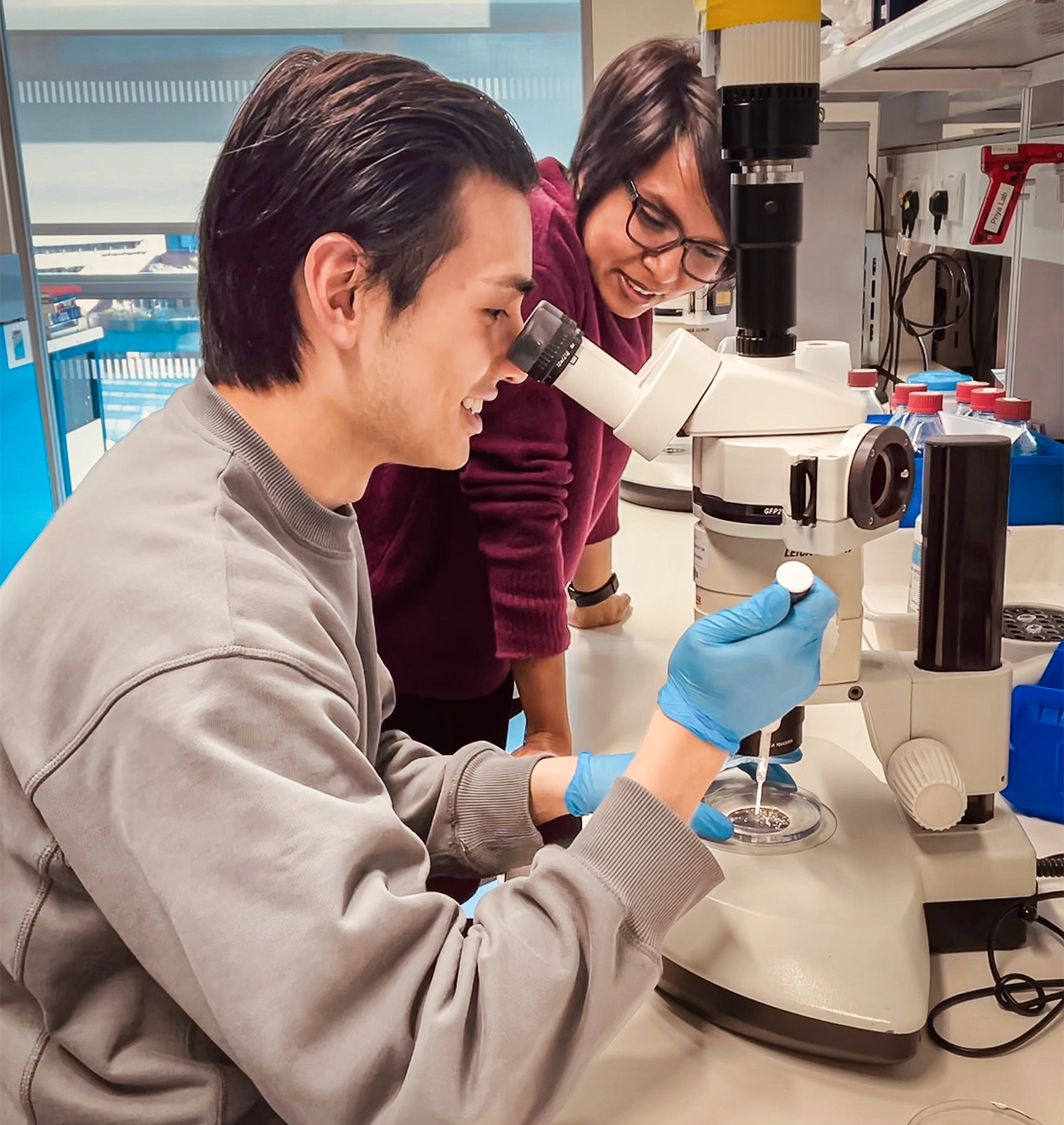 Chan and Priya lean over a microscope.