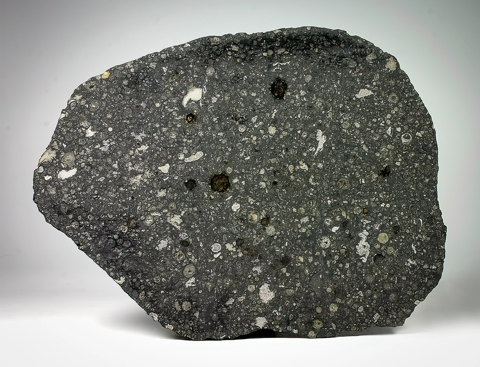 A cross section of a piece of the Allende meteorite reveals smaller chunks of materials in a range of tones from white to black