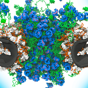Tangles of green and blue strands, representing different types of proteins, spill out over the edges of a circular channel.