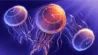 An illustration of jellyfish with clock faces on their bell.