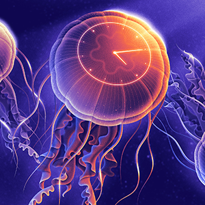 An illustration of jellyfish with clock faces on their bell.