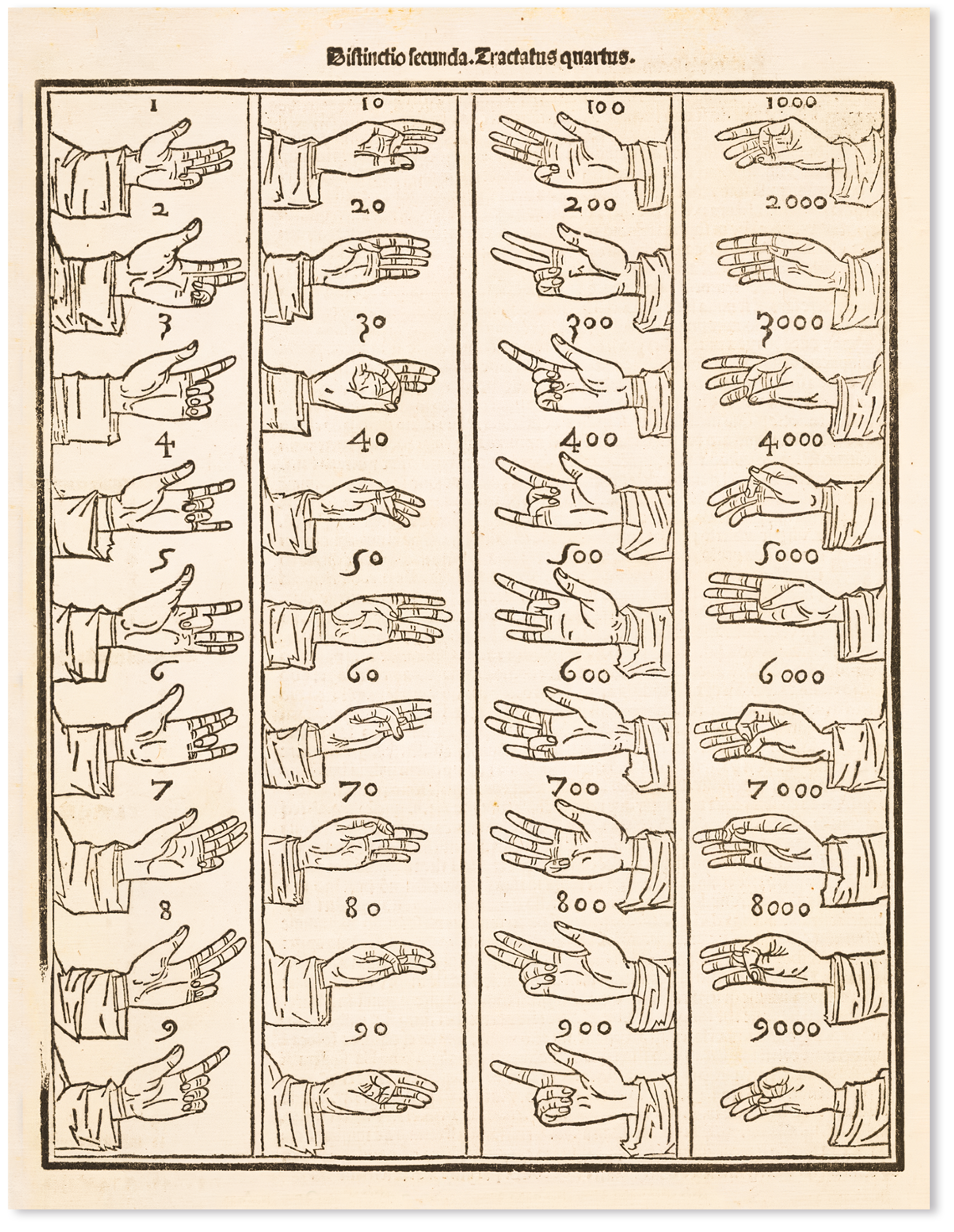 Drawings of different hand gestures representing different numbers.