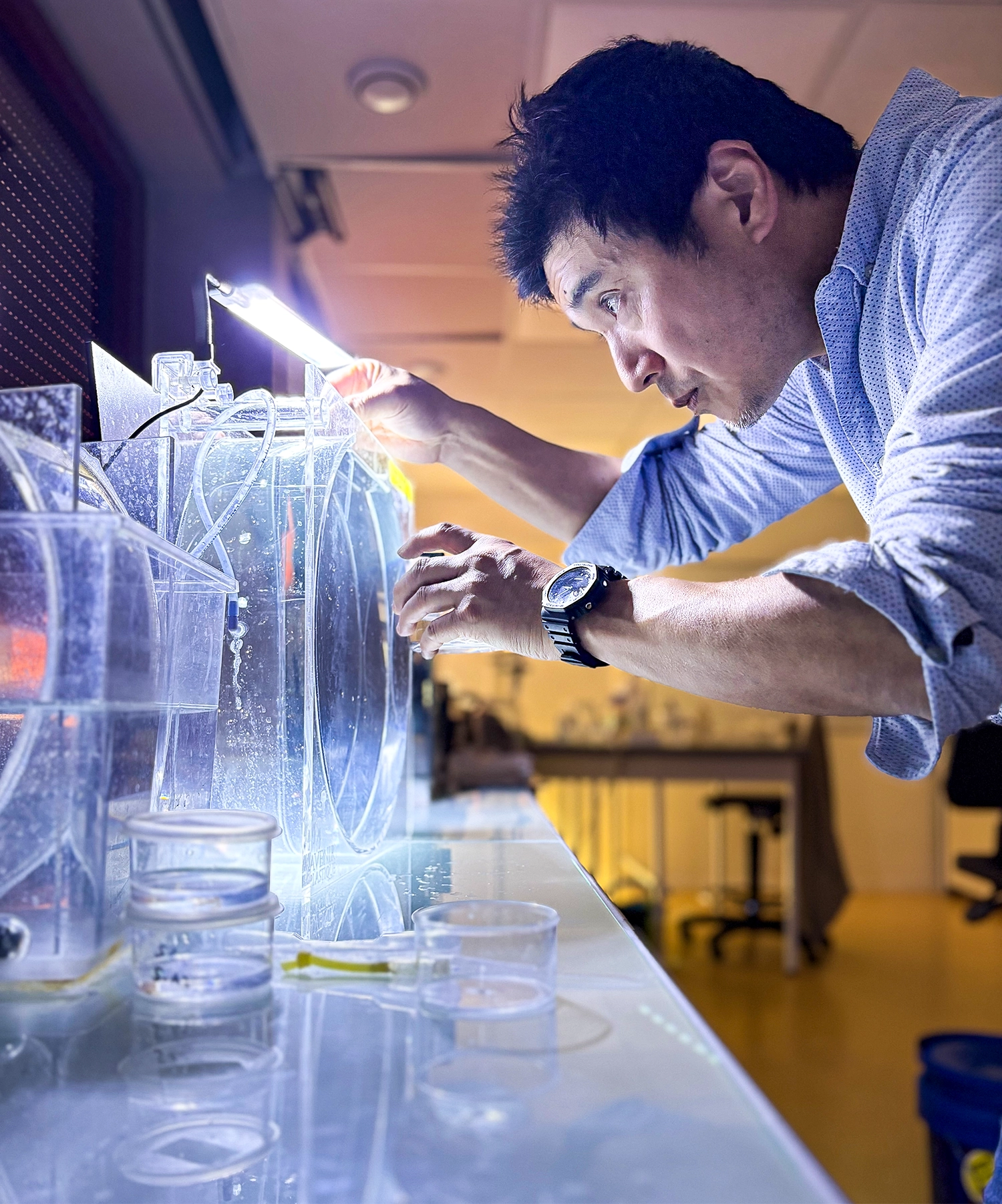 Tsuyoshi Momose peers into a circular jellyfish tank.