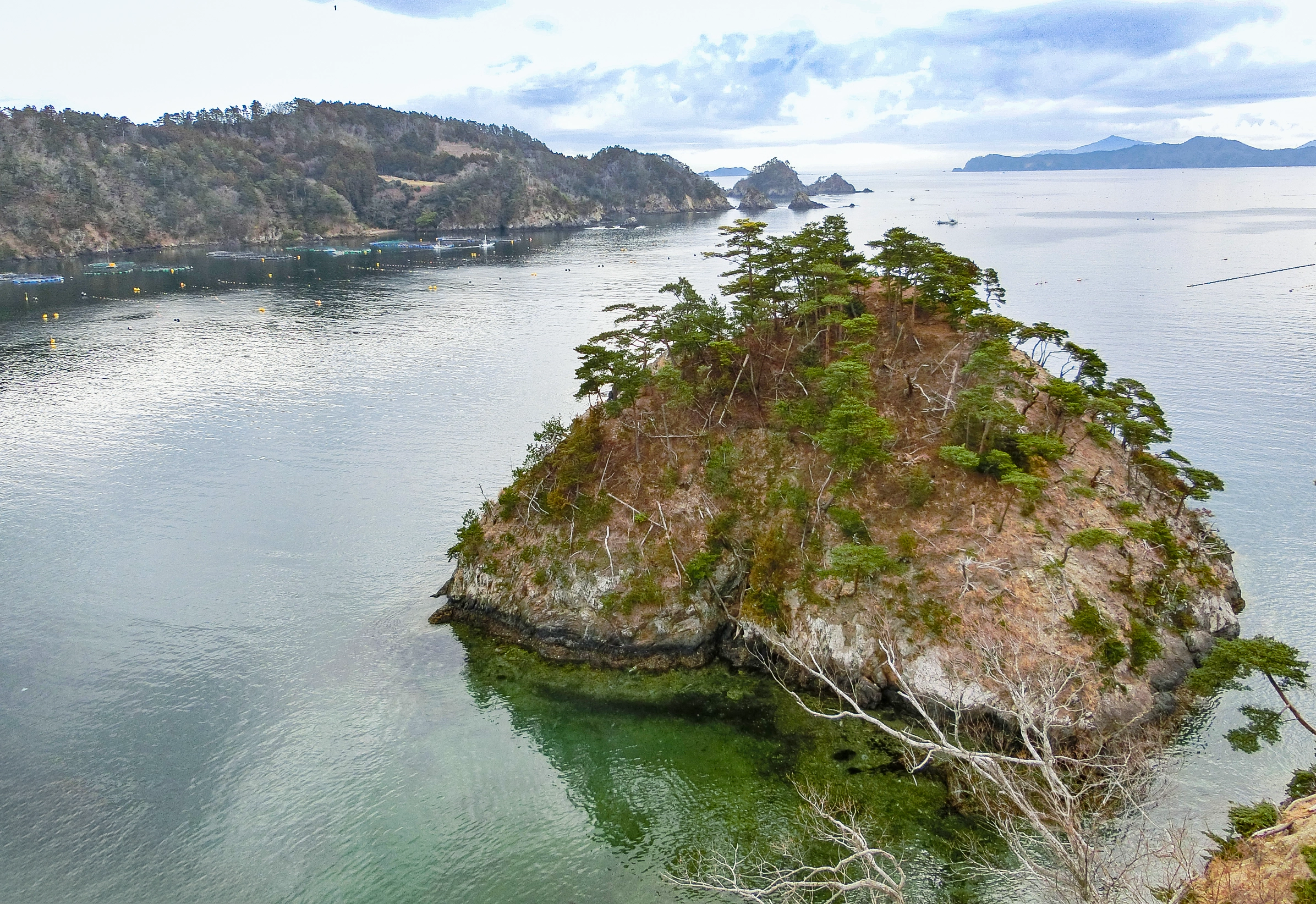 A view into the bay, focused on a tiny, treed island.