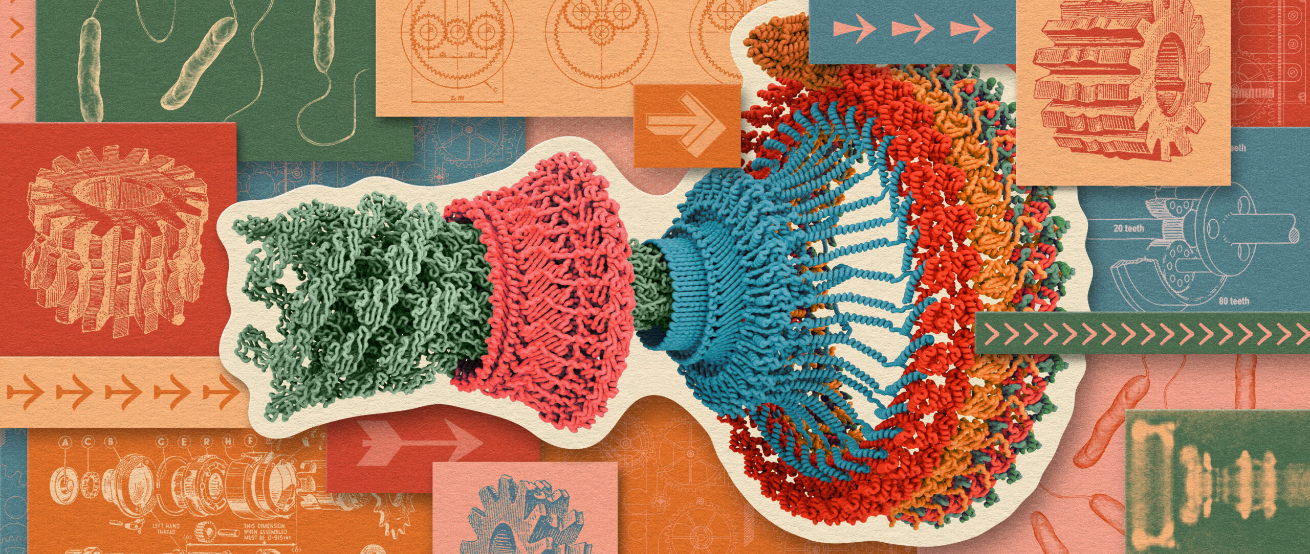 A collage illustration depicting a model of the proteins in a flagellar motor, surrounded by images of vintage rotors and gears, and diagrams of bacteria.