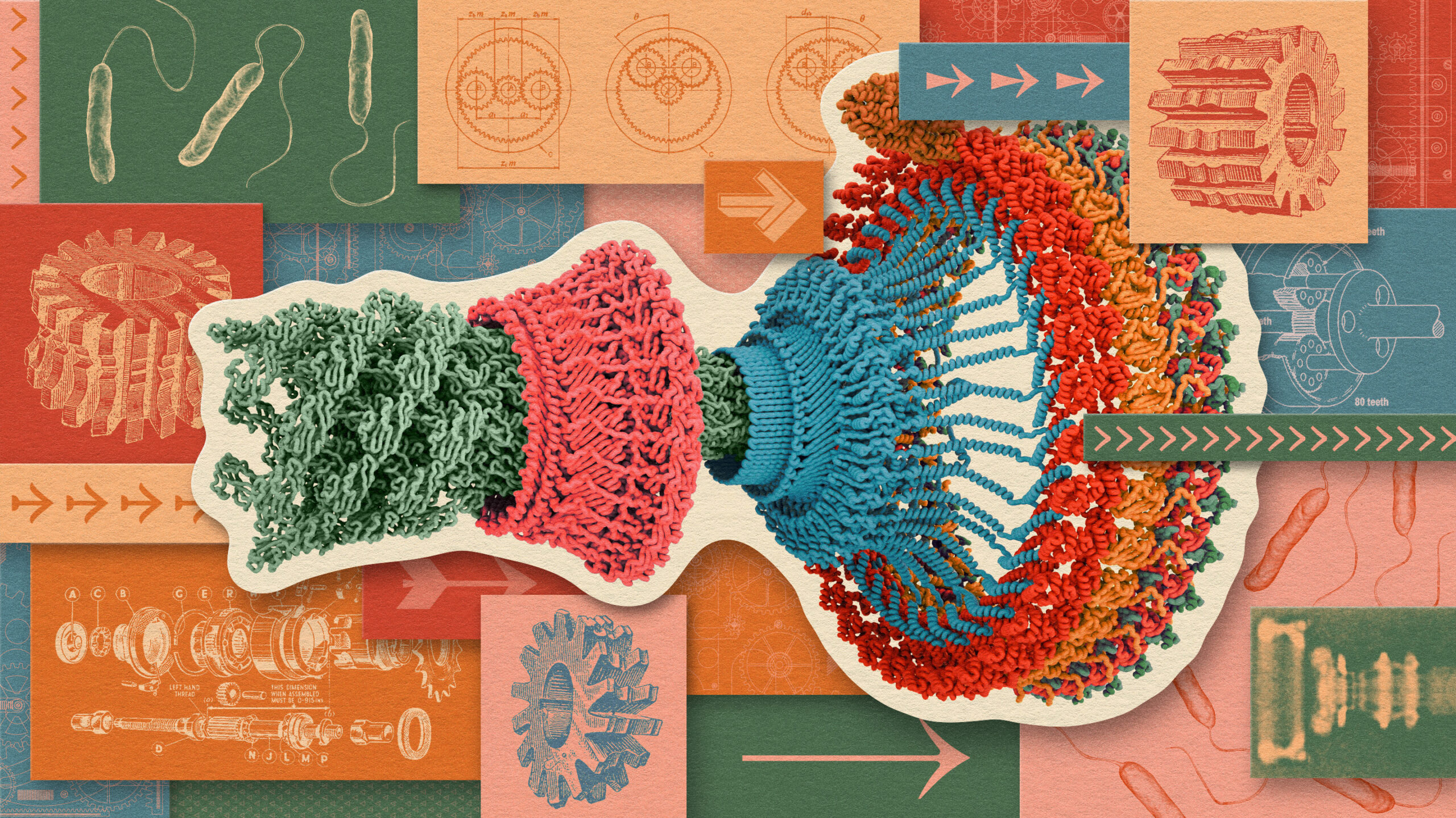 A collage illustration depicting a model of the proteins in a flagellar motor, surrounded by images of vintage rotors and gears, and diagrams of bacteria.