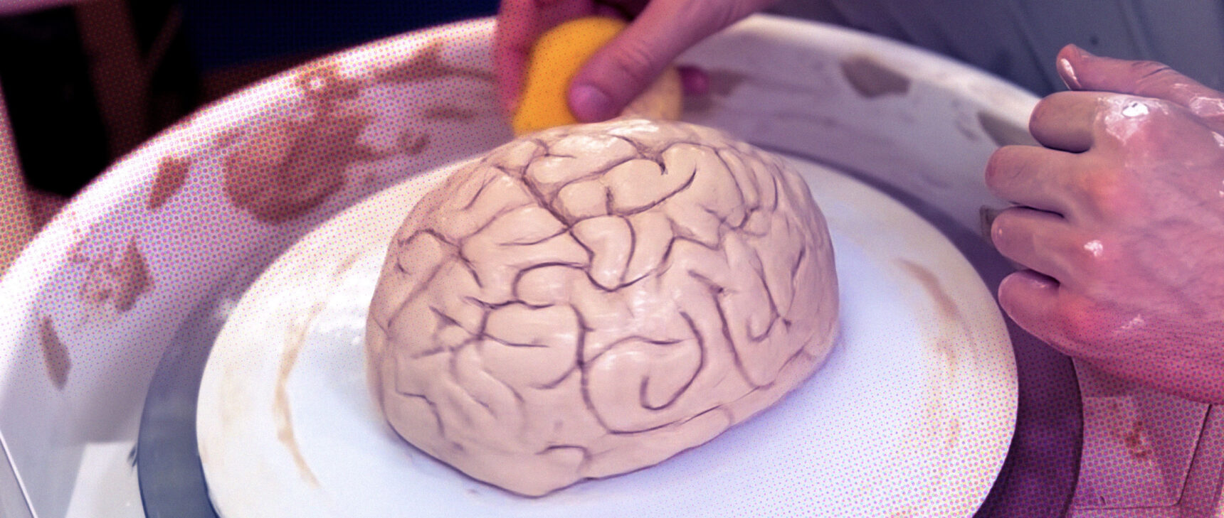 A clay brain spins on a pottery wheel.