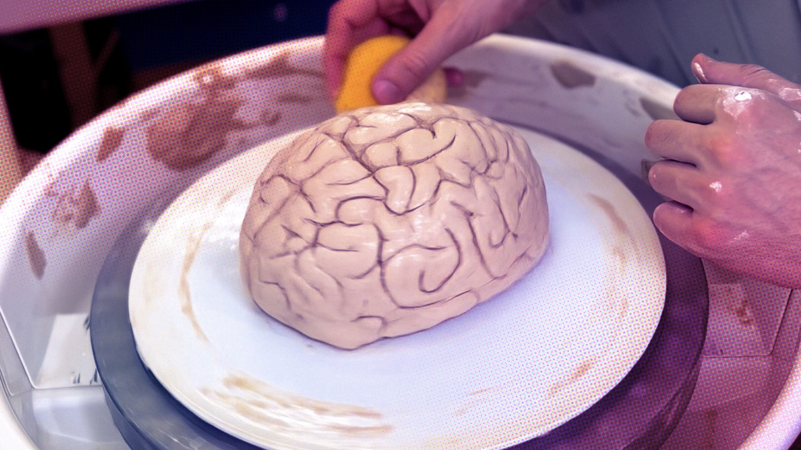 A New Type of Neuroplasticity Rewires the Brain After a Single
