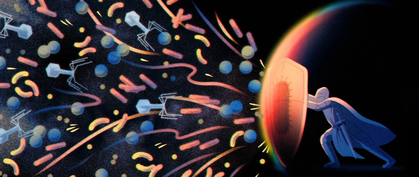 An illustration shows a knight kneeling behind a shield engraved with an image of a bacterium, with which he defends against an onslaught of viruses.
