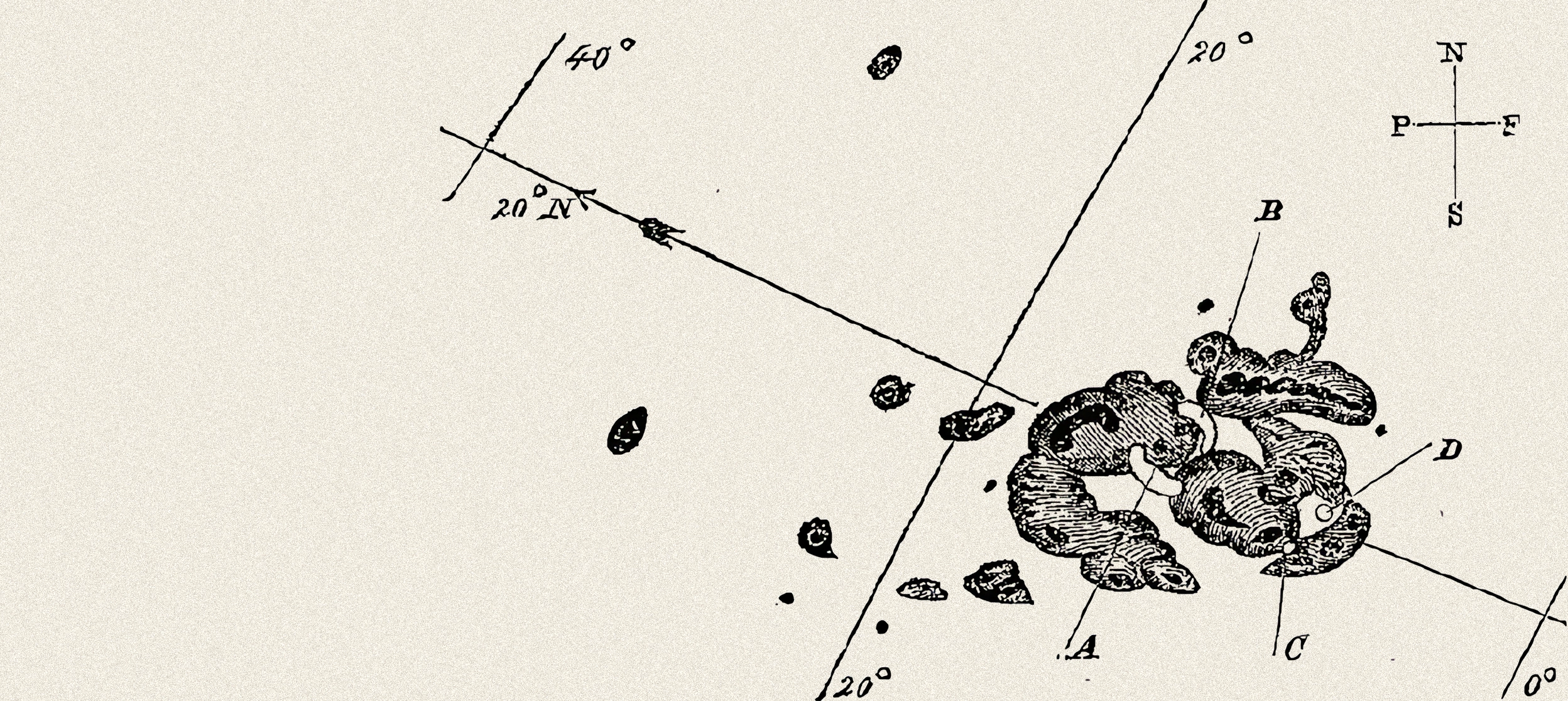 A detailed scientific illustration of a sunspot group on the solar surface, showing the fine structure of individual spots and surrounding regions, with labels A,B,C, and D.