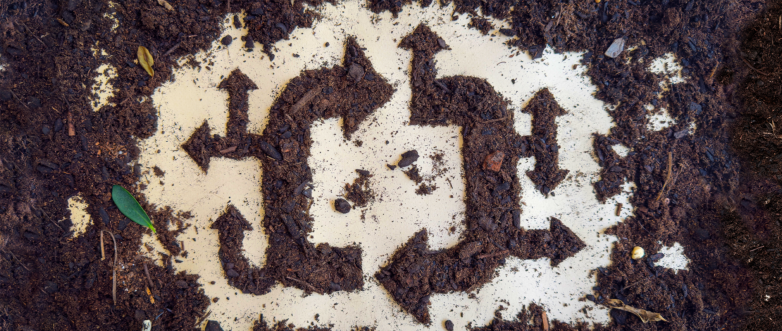 Dirt arranged in the shape of arrows pointing in a circle.