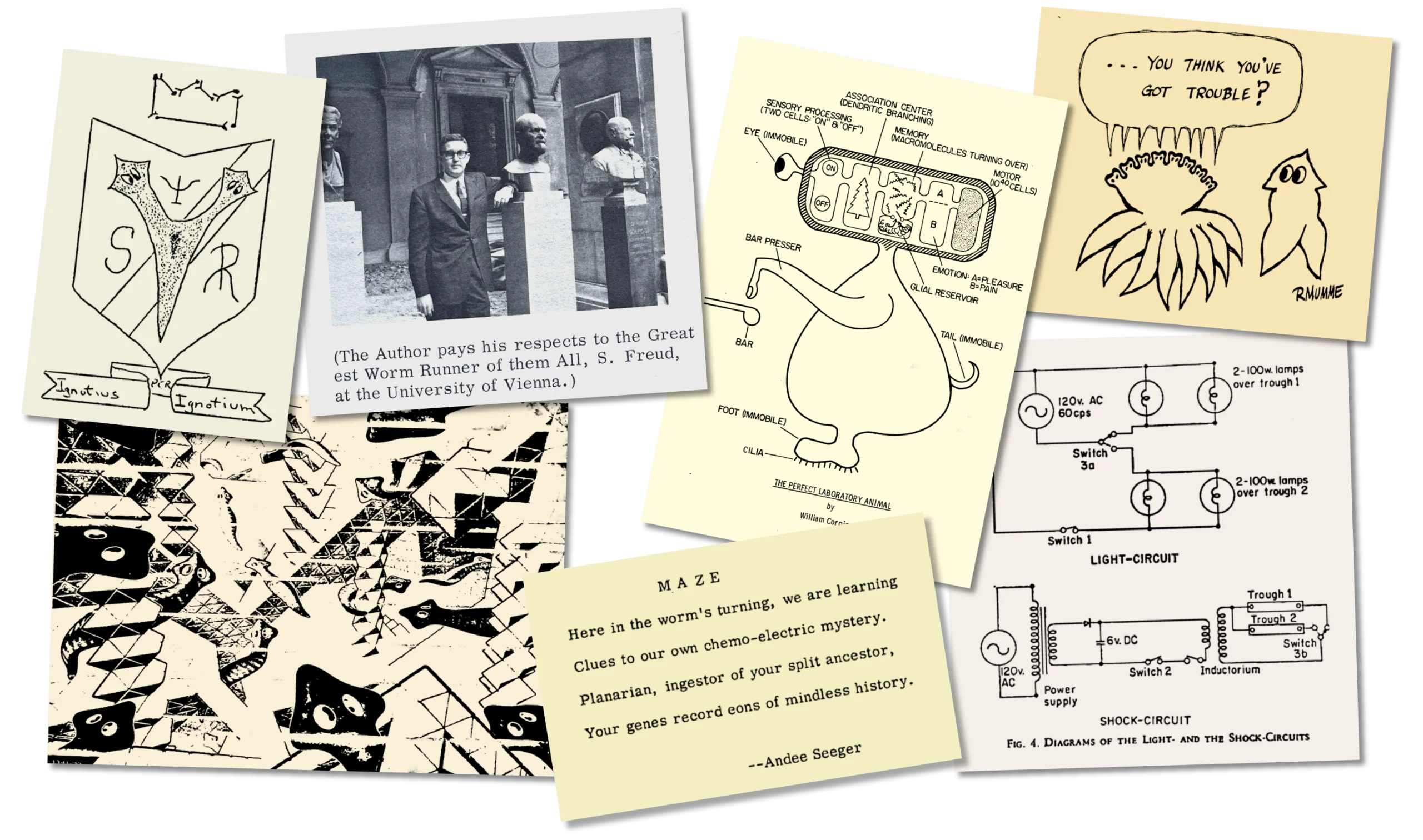 Clippings from the journal include its logo, McConnell posing with a bust of Freud, a poem, two cartoons, a diagram of the Inductorium worm-training device, and M. C. Escher-inspired planarian art.