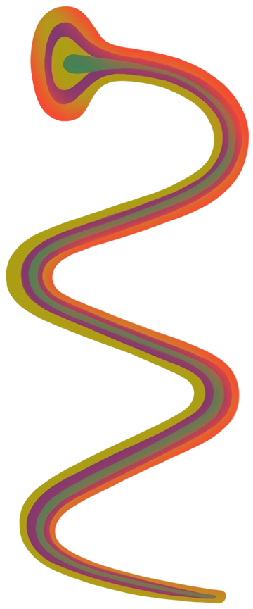 An illustration of a flat head worm