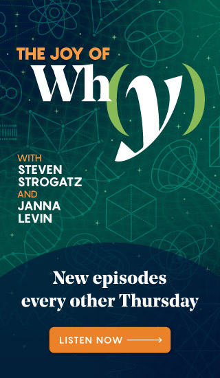 Joy of Why season 5 promotional ad