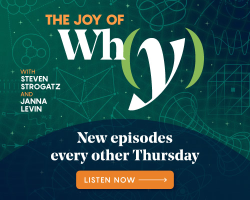Joy of Why season 5 promotional ad