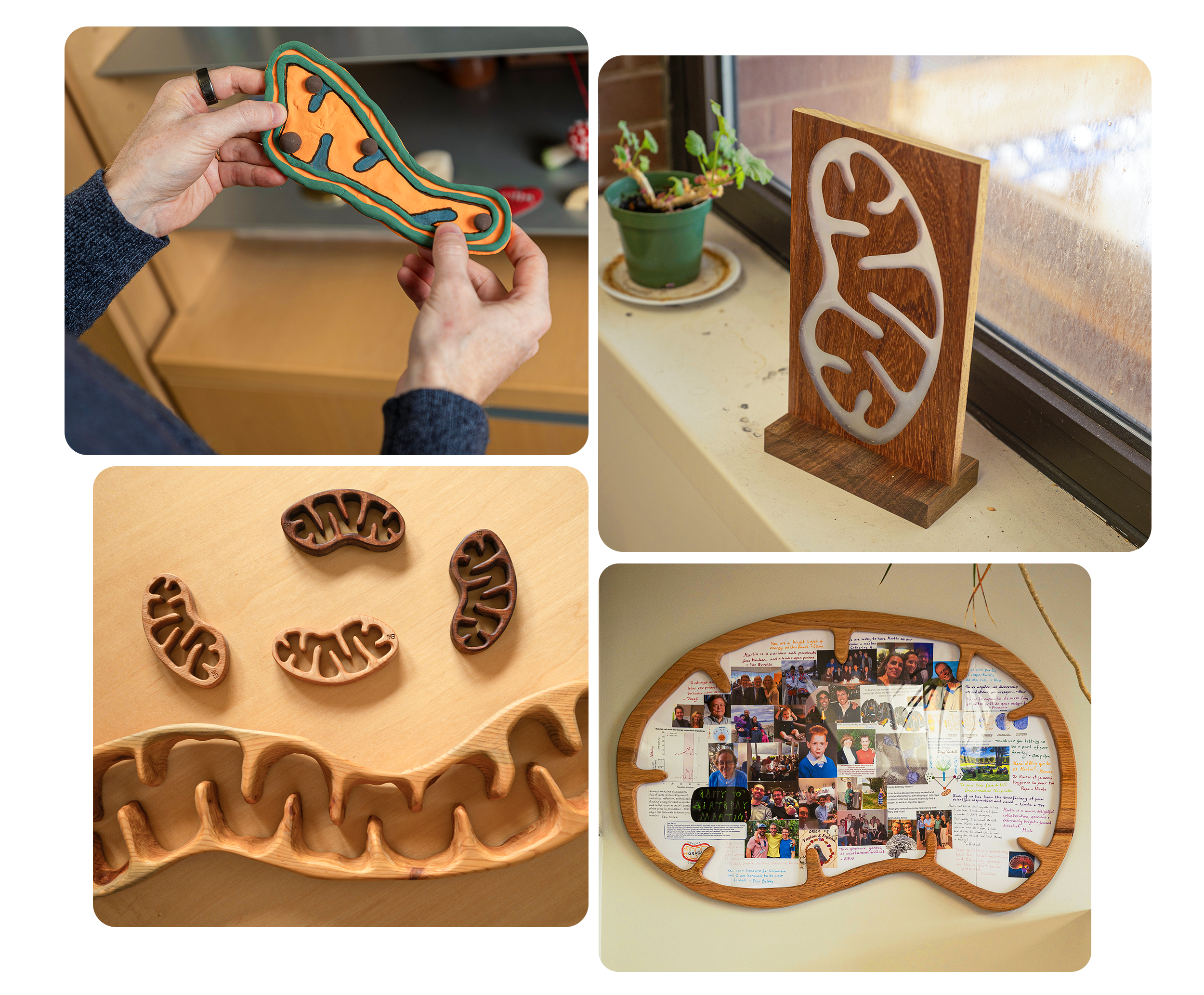 A grid of images show a variety of wooden and clay mitochondria.