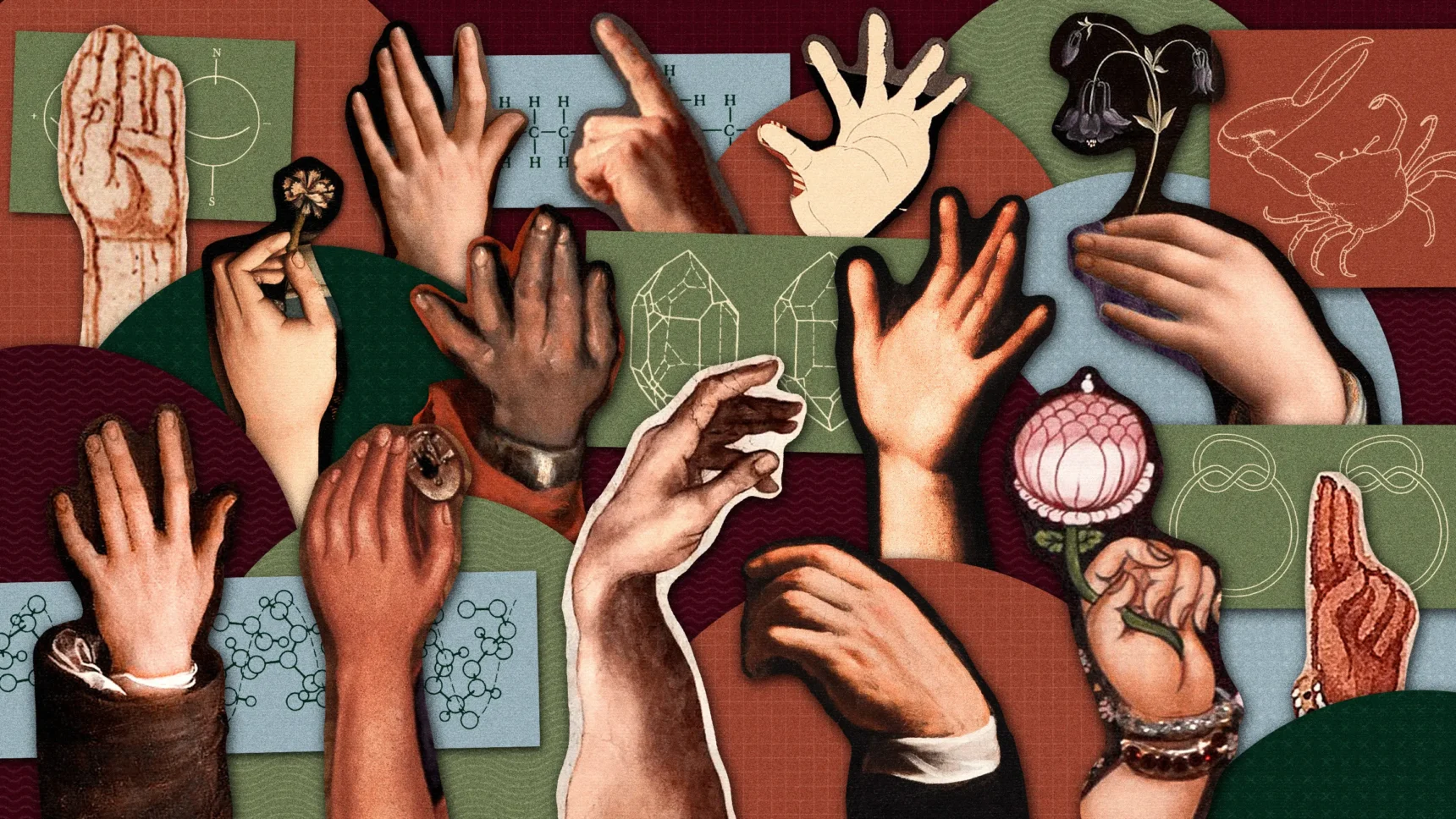 Left hand illustration