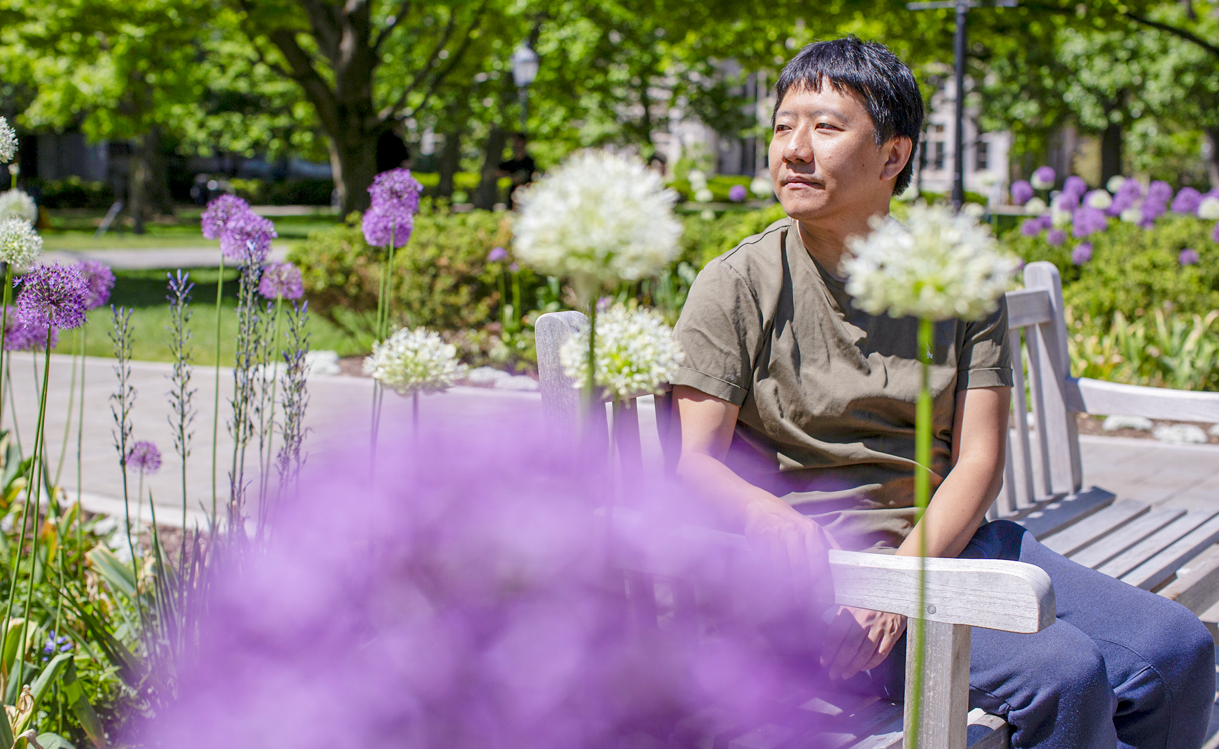 A man sitting on a park bench among purple flowers.