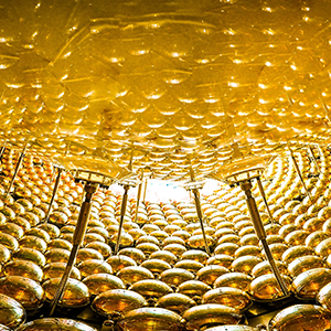 The interior of a spherical particle detector is lined with photomultipliers that resemble large, gold-tinted lightbulbs.