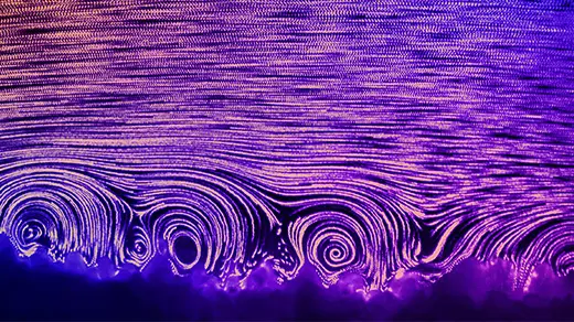 Video showing swirls of water at a coral's surface.