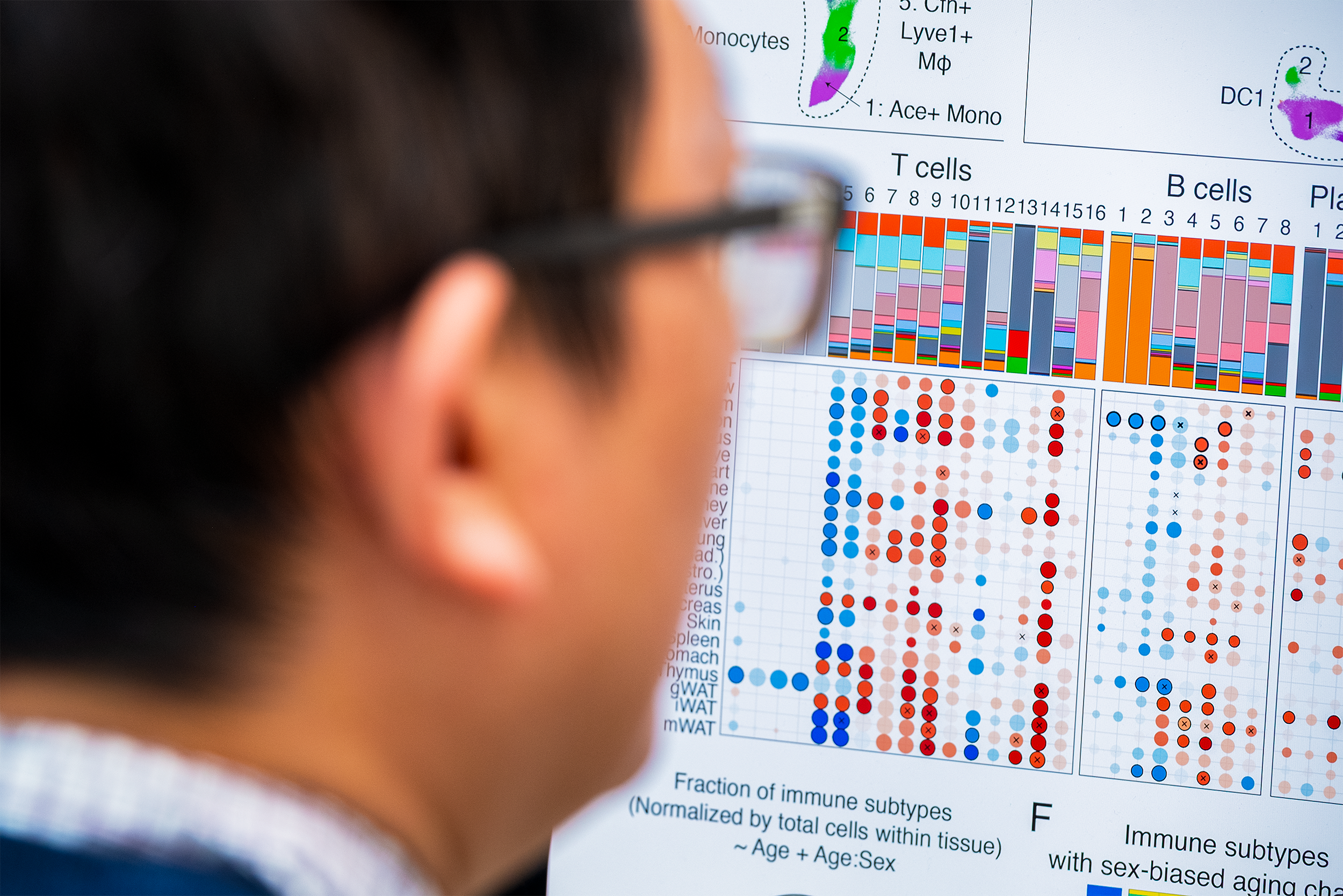 A man from behind looking at genetic data