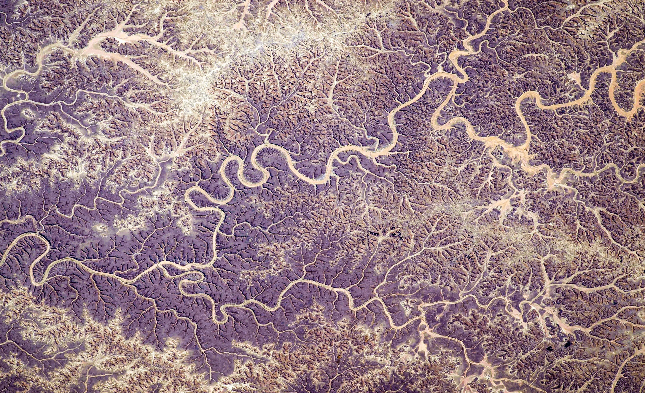 A satellite photo of a network of dry streambeds in Yemen.