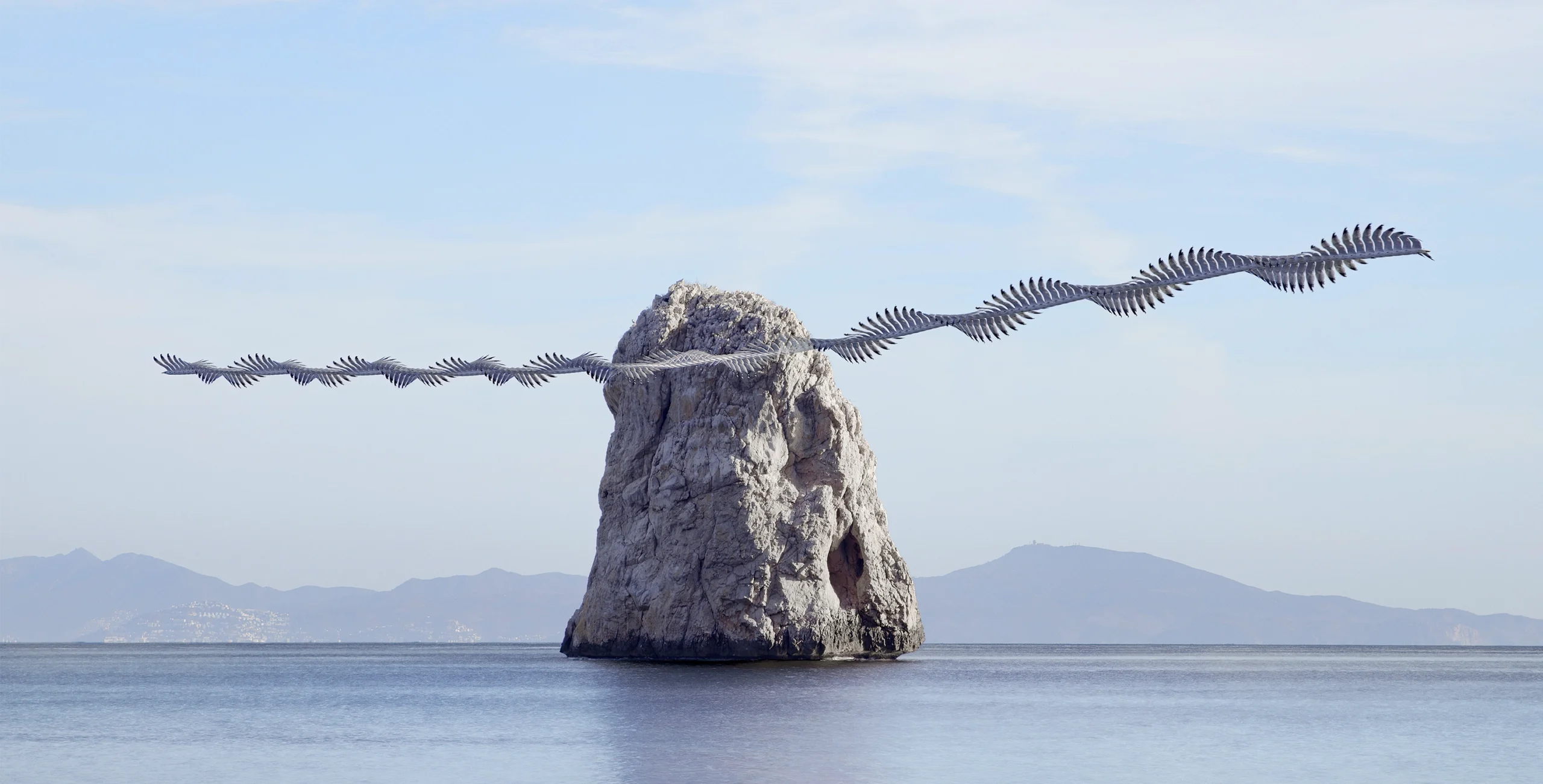 Composite image showing a rapid succession of moments in the flight of a bird.