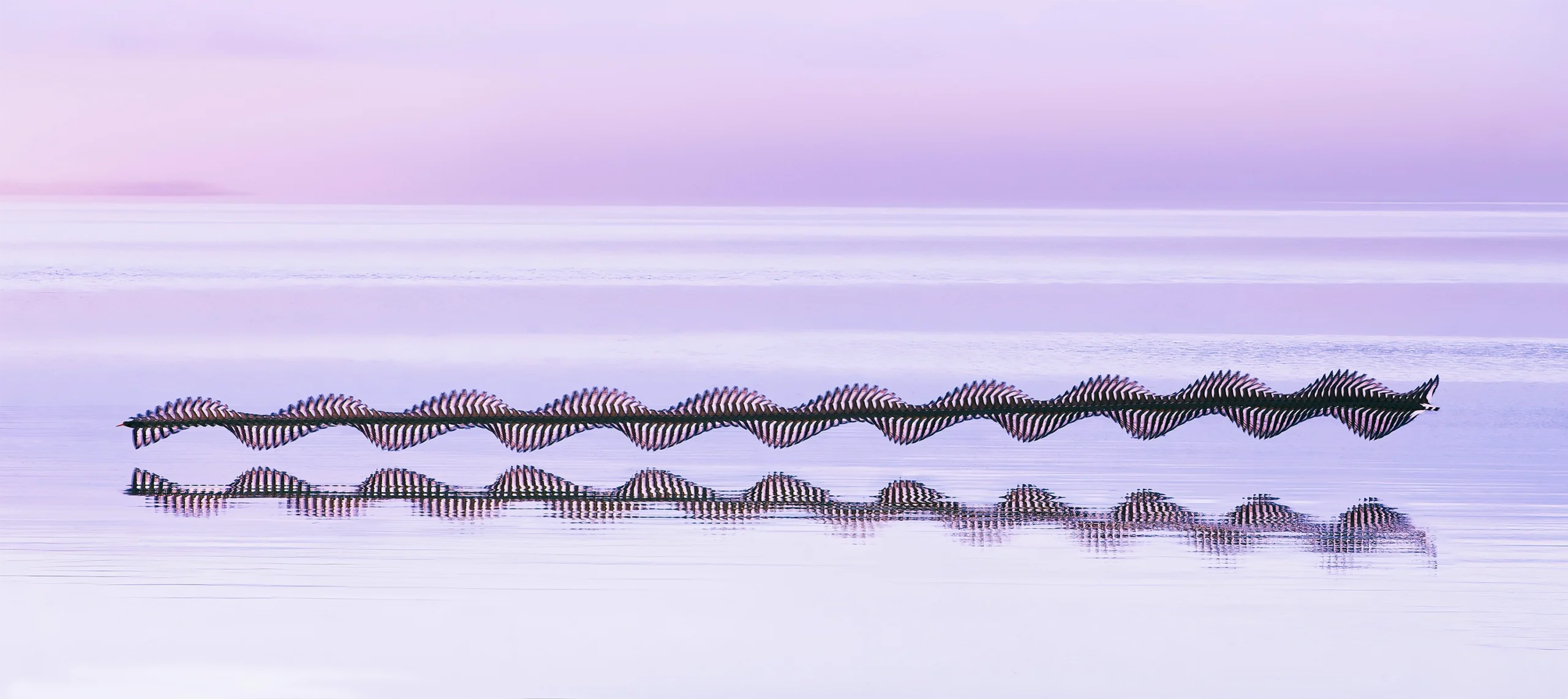 Composite image of a bird flying close to the surface of a body of water.