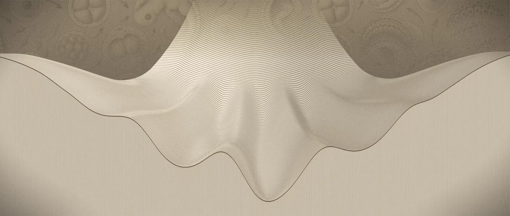 An animation shows a sloped landscape with shifting hills and valleys. A ball placed on the highest point rolls down and is trapped in valleys. Its color change reflects into which valley it is being funneled.