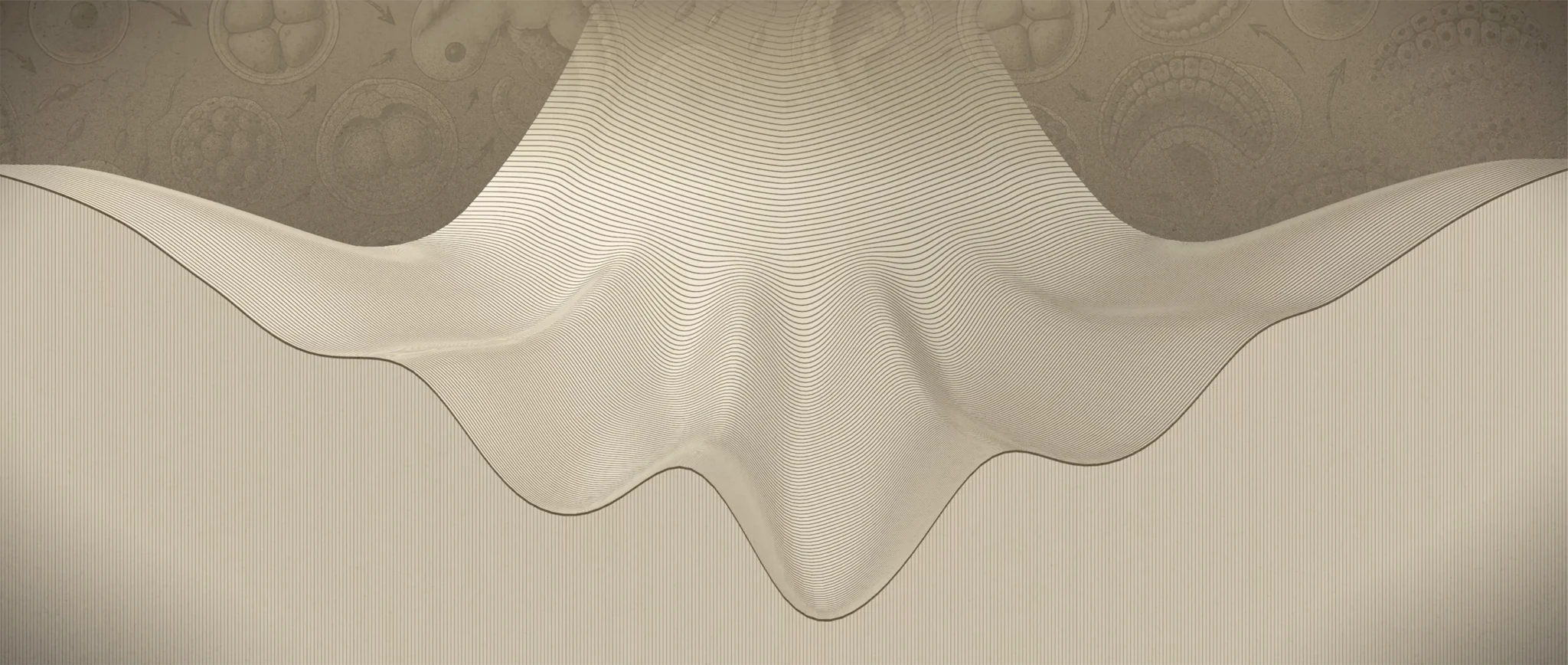 An animation shows a sloped landscape with shifting hills and valleys. A ball placed on the highest point rolls down and is trapped in valleys. Its color change reflects into which valley it is being funneled.