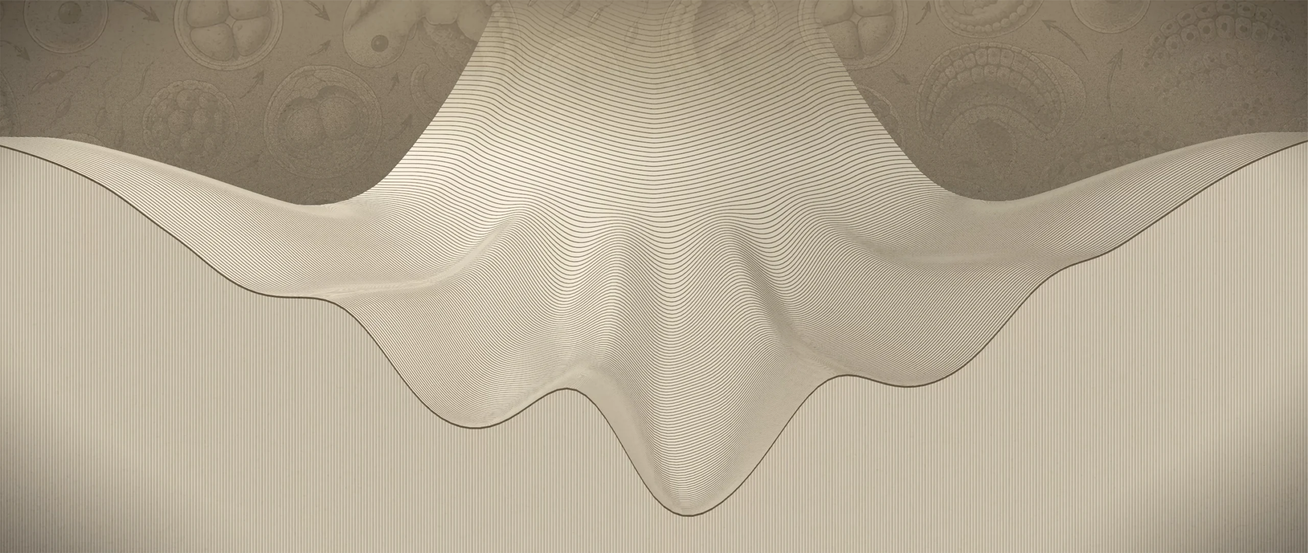 An animation shows a sloped landscape with shifting hills and valleys. A ball placed on the highest point rolls down and is trapped in valleys. Its color change reflects into which valley it is being funneled.